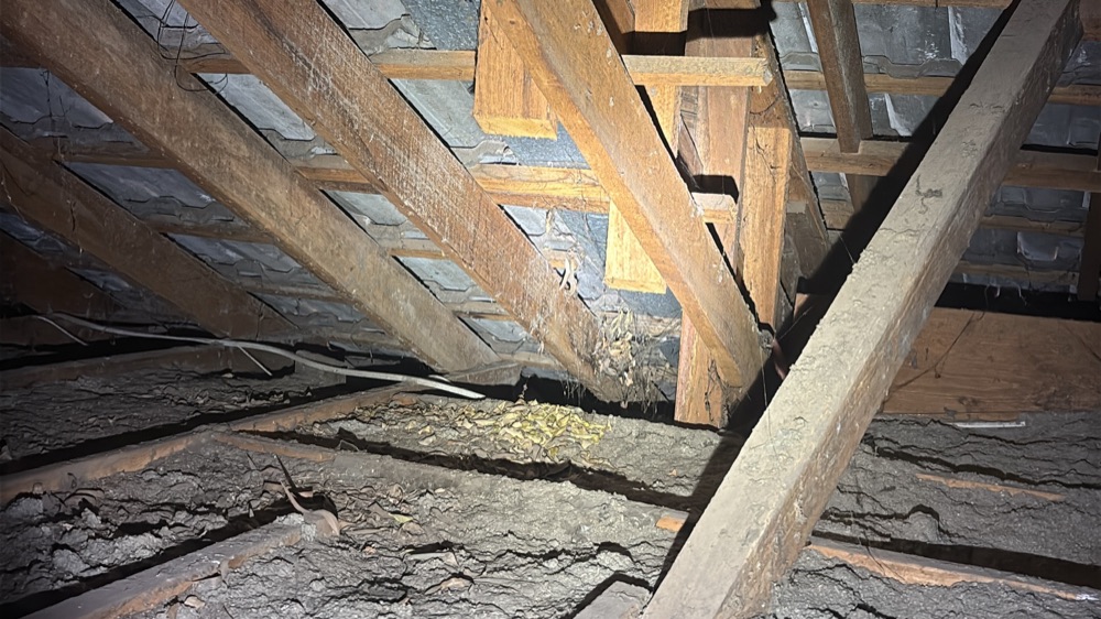 Ceiling structure showing signs of water intrusion, found during a building and pest inspection in Craigieburn, 8 km from Mickleham