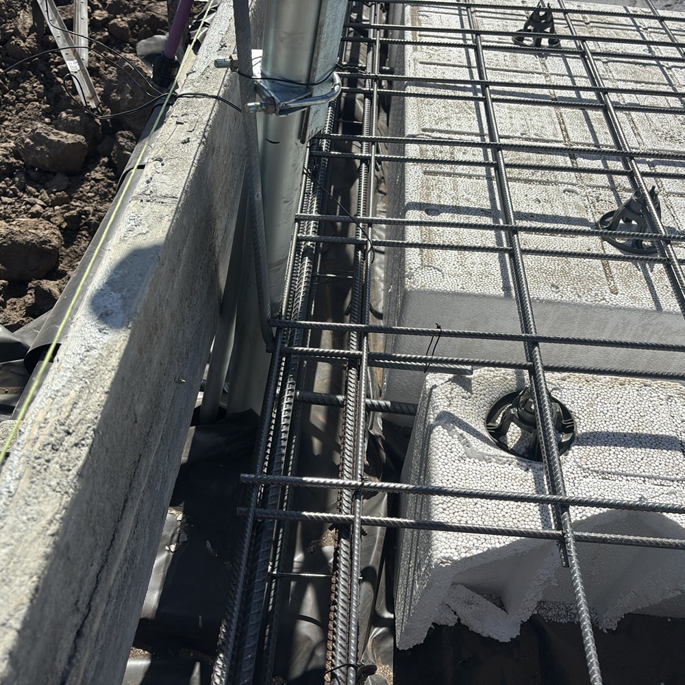 Recorded during a Mickleham inspection, Mickleham