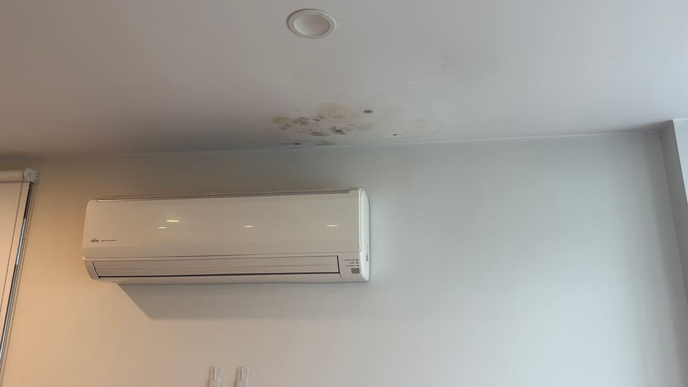 Mould and staining to a ceiling, Moonee Ponds, Mickleham