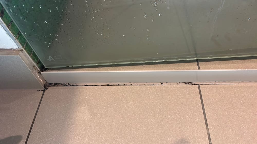 Mould at a shower screen base, Brunswick East, Mickleham
