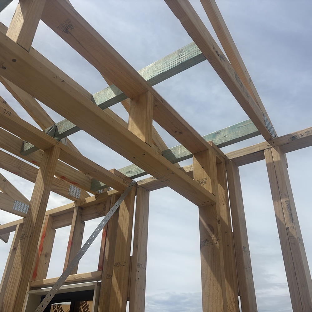 Recorded during a Mickleham inspection, Mickleham